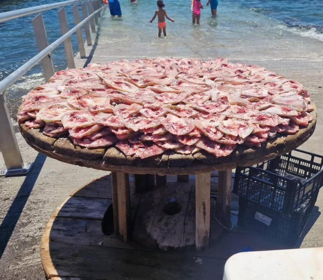 Isamena Daire Las Playas Dış mekan fotoğraf